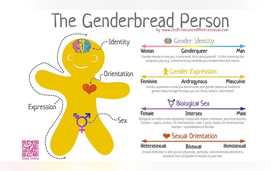 what do students learn sex education what do students learn sex education